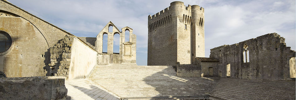 Abbaye De Montmajour